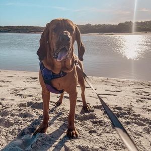 Meet your Posher, Kristin